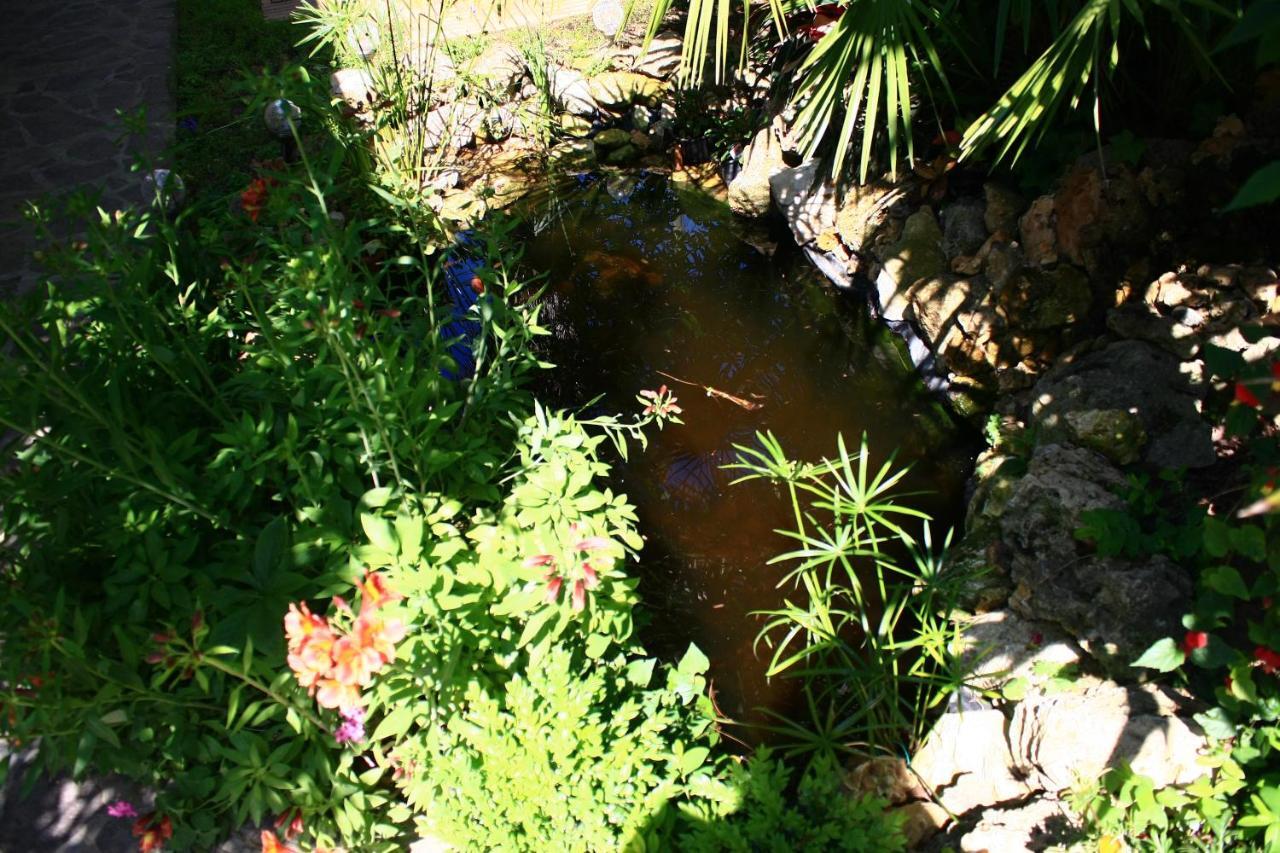 Garden Fuorirotta Bed & Breakfast San Giovanni Teatino Dış mekan fotoğraf